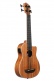 U-Bass Scout