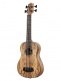 Spalted Mango U-Bass + Housse
