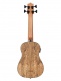 Spalted Mango U-Bass + Housse