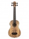 Spalted Mango U-Bass + Housse