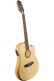 Aeg-1 Natural