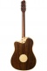 Aeg-1 Natural
