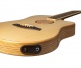 Aeg-1 Natural