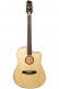 Aeg-1 Natural