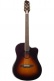 Aeg-1 Sunburst