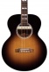 M1actif pour Guitare Gaucher