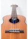 MN302 THE HUMILELE-UKULELE HUMIDIFIER