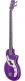 Glenn Hughes Signature Purple O Bass