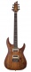 C-1 Exotic Spalted Maple