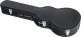 Les Paul Case - ALP3