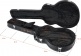 Hollow-Body Case (Style 335) - ASJ3