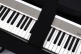 Housse clavier KB88 Large Noir