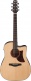 Aad170Ce-Lgs Natural Advanced Acoustic
