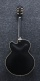 AF75G-BKF Black Flat Af Artcore