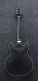 As73G-Bkf Black Flat Artcore