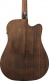 AW54LCE-OPN Natural Artwood LH