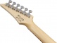 USA Model GRX40TFB Tri Fade Burst