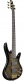 USA Model GSR205PCTPB Transparent Pale Black Burst