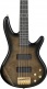 USA Model GSR205PCTPB Transparent Pale Black Burst