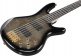 USA Model GSR205PCTPB Transparent Pale Black Burst