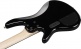 USA Model GSR205PCTPB Transparent Pale Black Burst