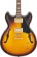 JSM10em Signature John Scofield Two-TONE Burst