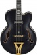 Pm3C Signature Pat Metheny Black Low Gloss