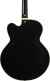 Pm3C Signature Pat Metheny Black Low Gloss