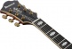 Pm3C Signature Pat Metheny Natural Amber Low Gloss - Reacondicionados
