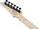 USA Model RG450QMBTGB Transparent Gray Burst