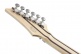 RG5320C-DFM Deep Forest Green Metallic Prestige