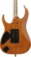 Limited Edition RG8570EMNT Natural