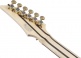 Edition Limitée RG8570EMNT Natural