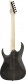 USA Model RGA42AHBKS Black Stained