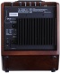 ONE FORSTRINGS 5T WOOD SIMON AMPLI 50W
