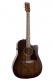 Americana Bourbon Burst Cw Presys Ii