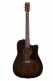 Americana Bourbon Burst Cw Presys Ii
