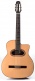 M01 Macca Cc
