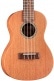 20CM CONCERT MAHOGANY