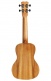 25C Ukulele Concerto