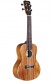 25C Ukulele Concerto