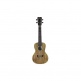 25C Ukulele Concerto