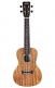 25C Ukulele Concerto