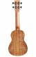 25S Soprano