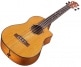 35TCE UKULELE TENOR + CASE