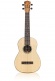 35T Ukulele Tenor + Gigbag