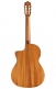C5-Ce Spruce