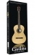 CP100 PACK GUITARE 4-4