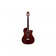 Fusion 12 Rose Ii