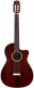 Fusion 12 Rose Ii